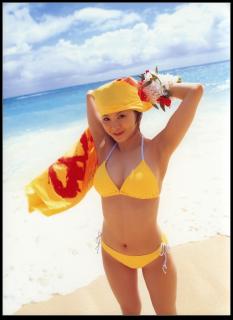 0085 - 233 x 320 [11KB]
�����̏L���L