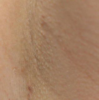 0527 - 318 x 320 [8KB]
���L�摜