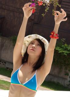 0690 - 230 x 320 [13KB]
���L�摜