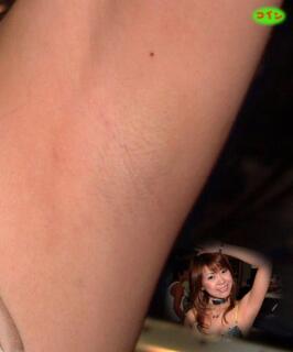 10445 - 266 x 320 [8KB]
