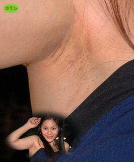 10447 - 266 x 320 [11KB]
