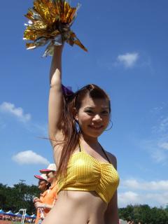 1294 - 240 x 320 [12KB]
�`�A���[�_�[����Ă�����f�l���̐����L