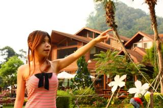 1322 - 320 x 213 [18KB]
����`�A���[�_�[����Ă�����f�l���̐����L