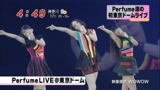 1979 - 320 x 180 [15KB]
�p�q���[���̏L��