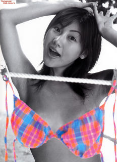 2075 - 232 x 320 [17KB]
�X�Q�[�W�����W�������ь��I�@�������߁@���߂��݁@���`���`���@�摜�M�������[