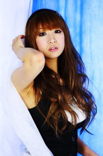 2116 - 213 x 320 [13KB]
�V�����L�Ό��@�����O���h���@���ʍ؁X�q