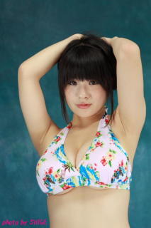 2594 - 213 x 320 [12KB]
�����O���h���@����݂Ȃ݂̉����L