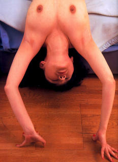 3204 - 232 x 320 [14KB]
���q���H�@�n�����L