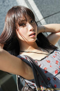 3511 - 213 x 320 [17KB]
���l�̊X���L