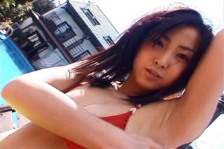 5995 - 320 x 213 [13KB]
����݂Ȃ��@���L