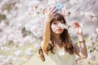 7439 - 320 x 212 [14KB]
�O�c���~�@���L