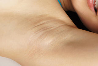 7925 - 320 x 214 [7KB]
�ɓ���ȁ@���L�@����