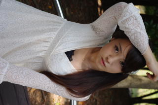 8511 - 320 x 213 [13KB]
���L���@����