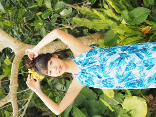 8751 - 320 x 240 [25KB]
�R�Ђ���@���ʃ��L