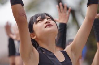 8972 - 320 x 211 [10KB]
���܂̂��Ⴍ�h���g�h�@�A�C�h��