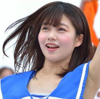 9826 - 320 x 317 [18KB]
��؂���݁@���L